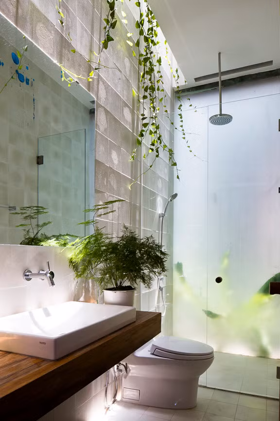 Phòng tắm được thiết kế với tường kính và cây cối xanh tươi.
