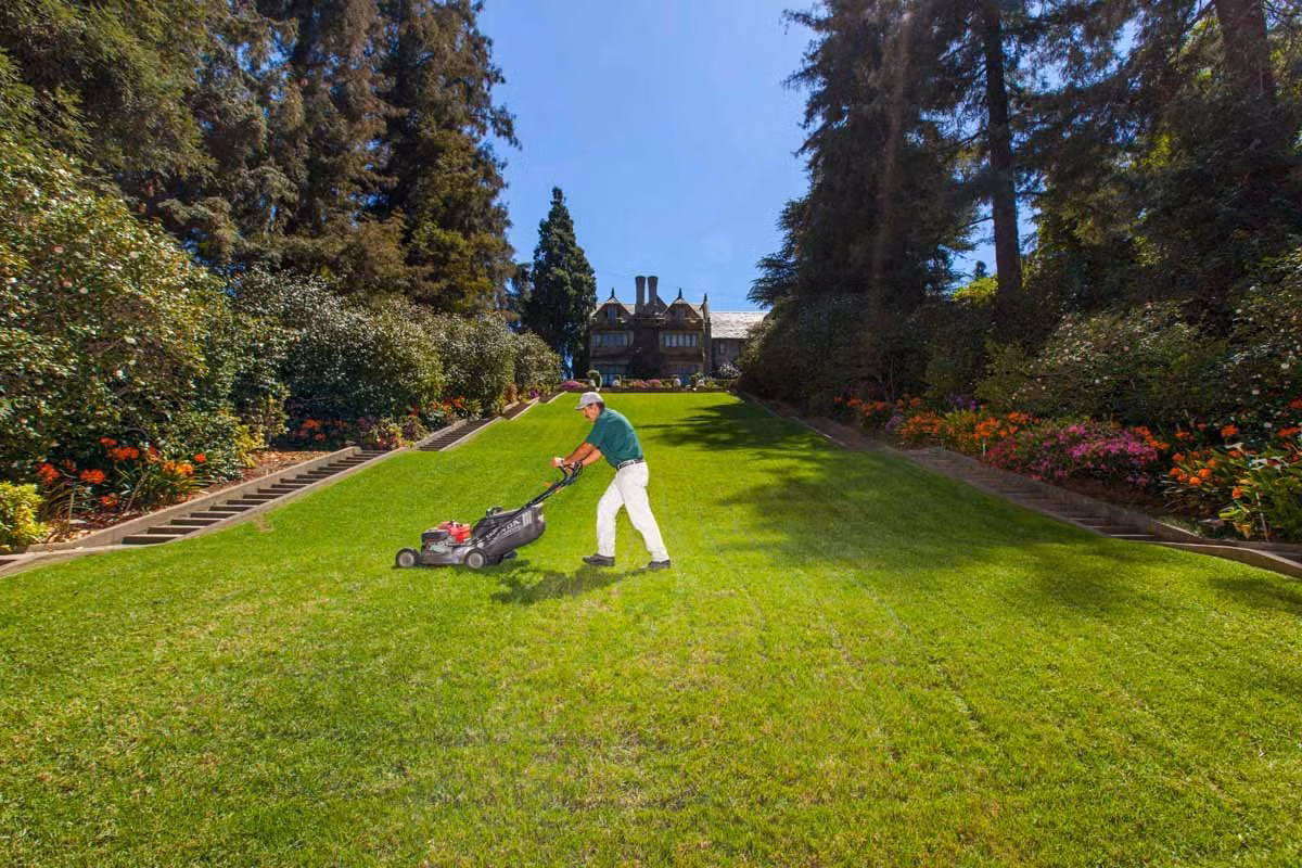 Hefner đang sống trong biệt thự này cùng với vợ là Crystal Harris, 30 tuổi.