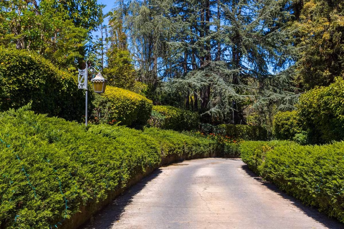 Ông Hugh Hefner mua căn biệt thự này cách đây 45 năm với giá 1 triệu USD, cái giá rất cao ở thời điểm đó.