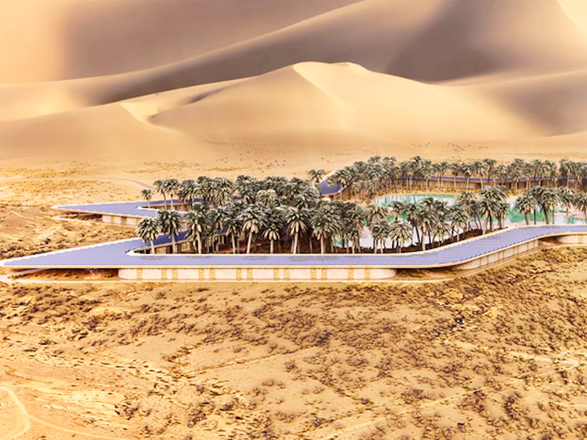 Ốc đảo này thực sự là một dự án gây ấn tượng của Ả Rập.