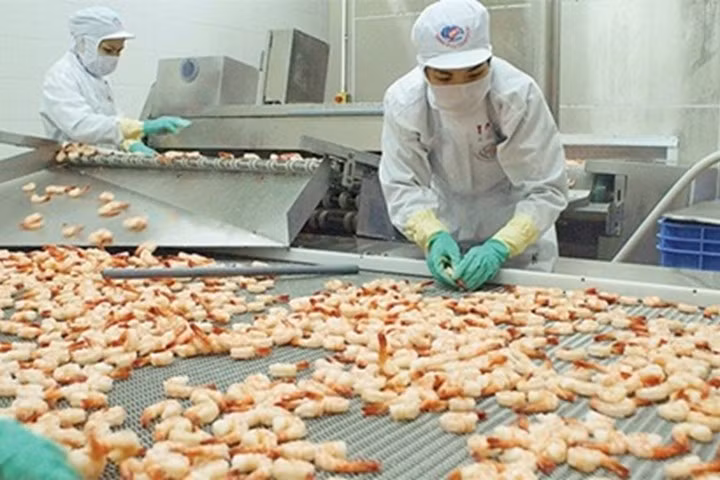 Đươc bổ nhiệm chức vụ Phó Tổng giám đốc Minh Phú nhưng ái nữ Lê Thị Dịu Minh không thể hiện được nhiều. Rõ ràng, với việc lợi nhuận công ty liên tục đi xuống, ban lãnh đạo công ty không thể nhận rằng đã hoàn thành xuất sắc nhiệm vụ của mình.