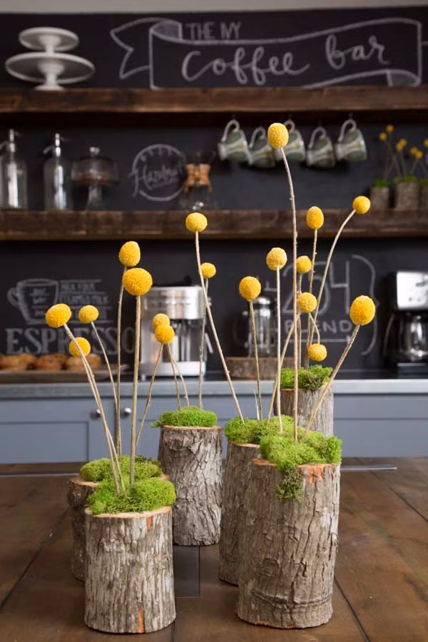 Những lọ hoa trang trí nhà đẹp mắt từ thân gỗ đơn điệu.