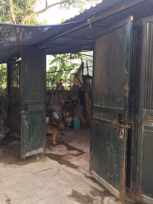 Căn nhà của gia đình nghệ sĩ Hán Văn Tình khá tuềnh toàng, thậm chí còn thua xa nhà của những người dân sống xung quanh. Hiên nhà được lợp bằng tôn lạnh.