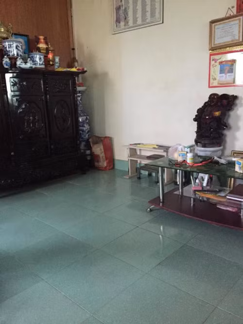 Chị Lan - vợ Hán Văn Tình cho hay: "Tôi thích rộng rãi, nên mua đất ở đây. Chứ mua đất trên phố đắt quá, lại chật chội."