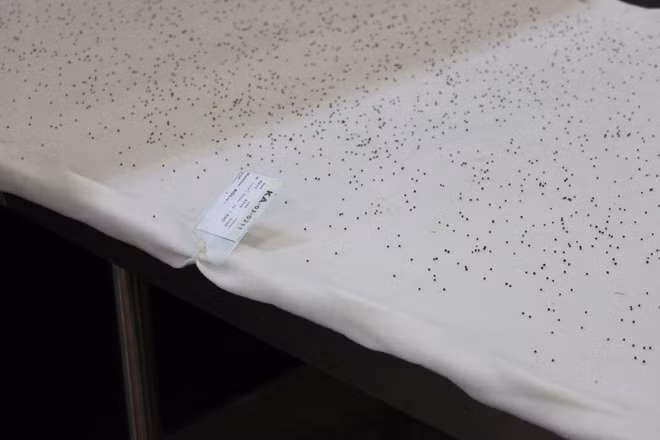 Trang trại đặc biệt này được cải tạo không gian từ một nhà máy thép cũ với diện tích trang trại lên đến hơn 21.000 m2.