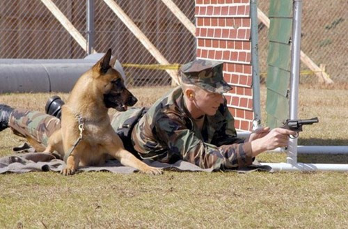 Trong chiến đấu, chó nghiệp vụ Mỹ cũng được trang bị các thiết bị bảo hộ chuyên dùng như Doggle (thiết bị bảo vệ mắt), áo giáp, áo cứu sinh, mặt nạ phòng độc, áo trang bị GPS tầm xa…