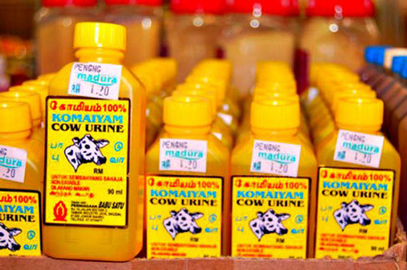 Một trong những mặt hàng bán chạy nhất của Patanjali là nước lau nhà làm từ nước tiểu bò-Gaunyle. Theo hãng, mỗi ngày công ty bán được khoảng 20 tấn Gaunyle nhưng vẫn chưa đủ để đáp ứng nhu cầu thị trường.