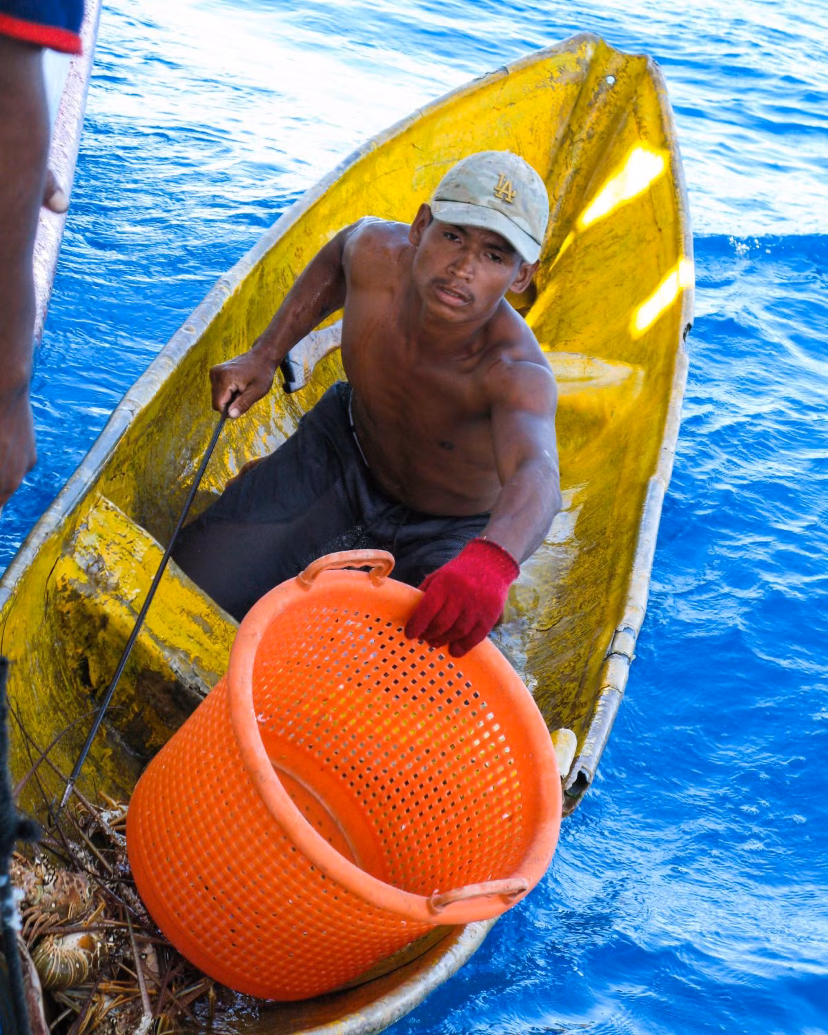 Một thợ lặn đang chuẩn bị chút tôm hùm ra giỏ để chủ thuyền cân và tính ra tiền công.