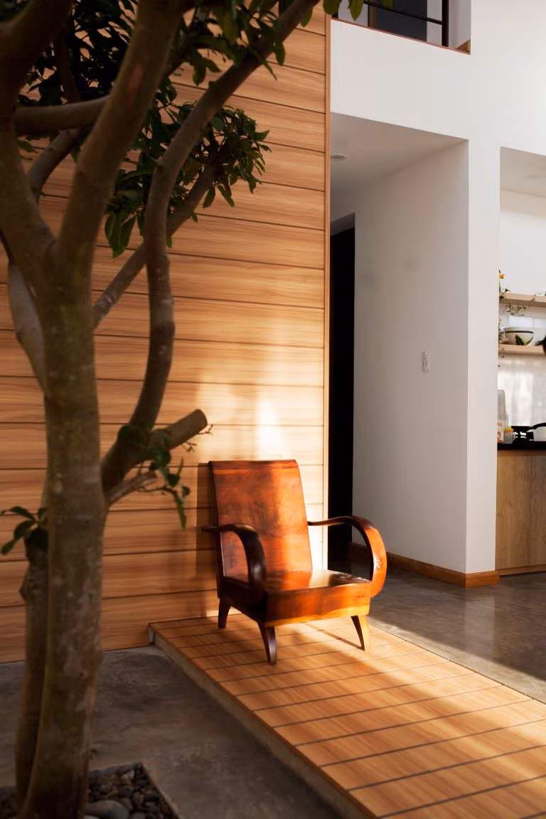 Cây xanh được trồng trong nhà để lọc không khí.