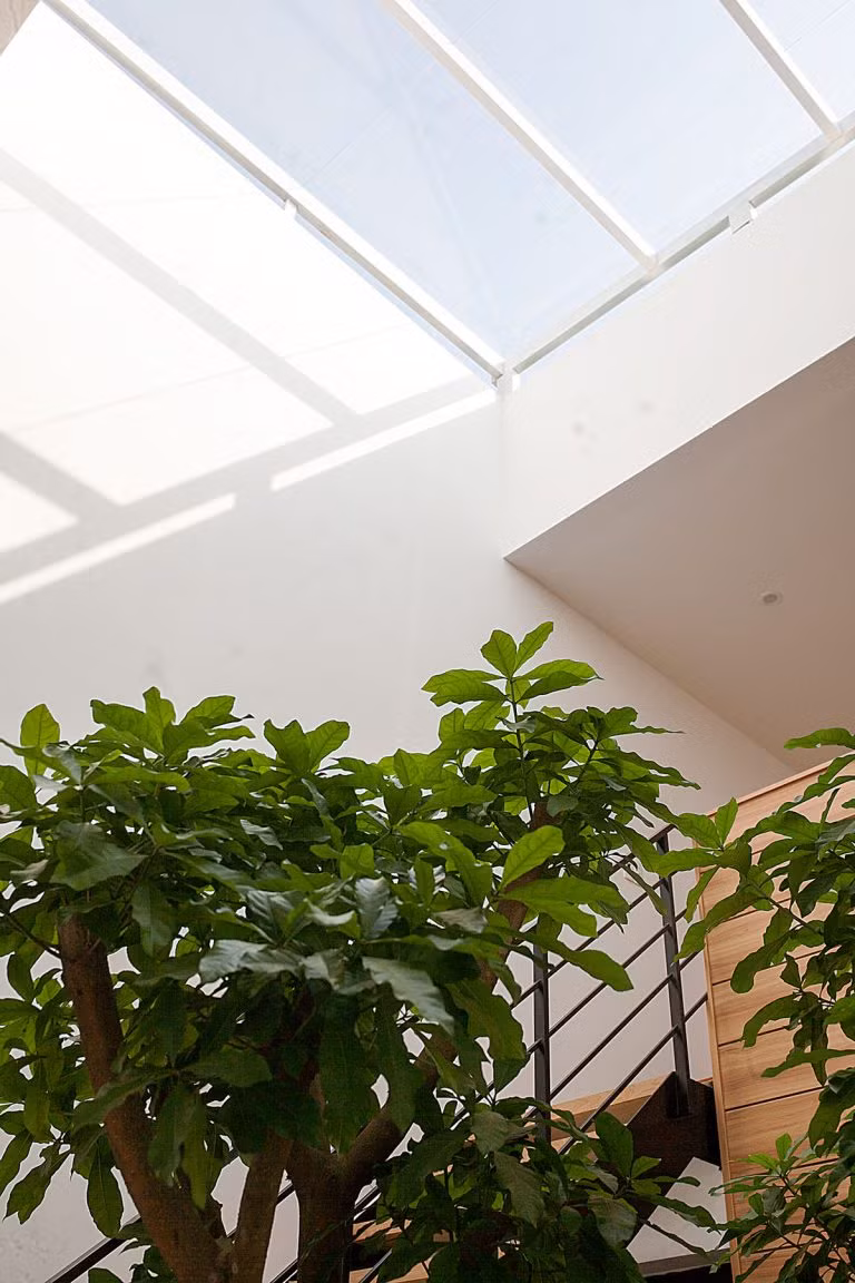 Mái nhà được thiết kế giúp không gian bên trong luôn ngập tràn ánh sáng nhưng cũng không bị nắng gắt nhờ hệ cây xanh.