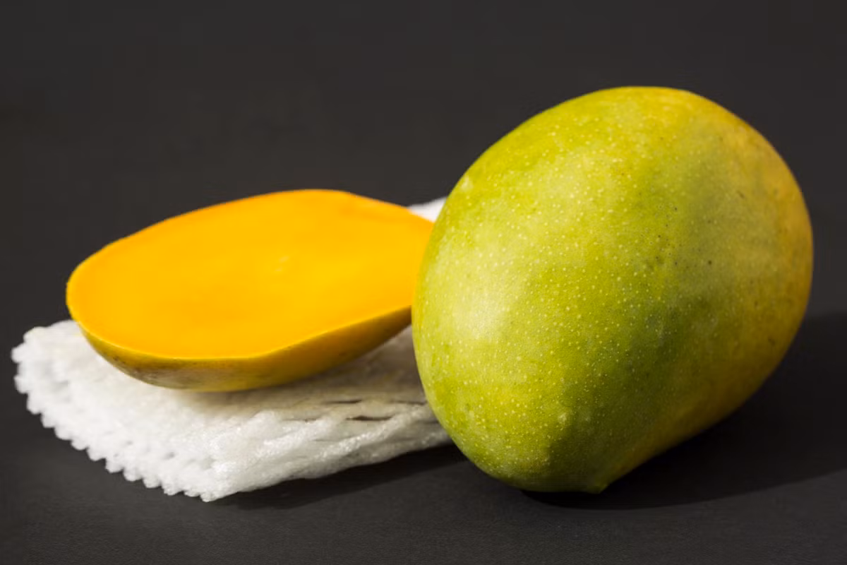 Xoài Kesar không chỉ được ưa chuộng tại Ấn Độ mà còn xuất khẩu sang nhiều nước khác trong đó có Mỹ.