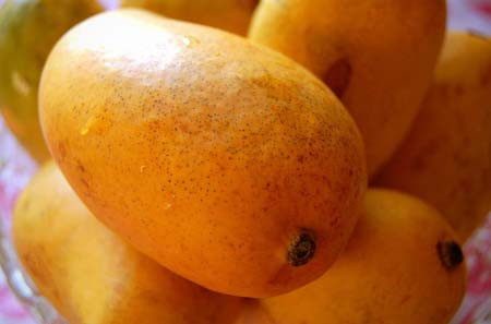 Sau đó, xoài Kesar được trồng trên diện tích khoảng 20.000 ha ở các huyện Junagadh và Amreli ở vùng Saurashtra Gujarat, với sản lượng ước tính hàng năm lên tới 200 nghìn tấn.