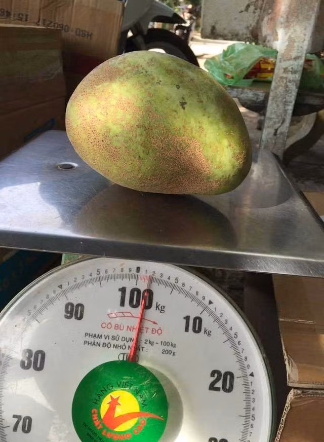 Tan muc nhung loai xoai doc, di, la sieu hut khach-Hinh-6