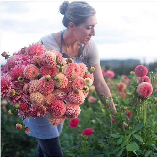 Trang Instagram cá nhân của Erin ngập tràn sắc màu của những loài hoa nổi tiếng, quý hiếm, đắt tiền và cả những loại hoa thường.