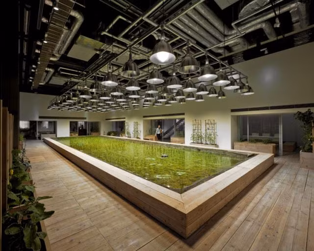 Một đội ngũ các chuyên gia nông nghiệp sẽ hướng dẫn các nhân viên trồng, chăm sóc và thu hoạch cho “Nông trại thành thị". 