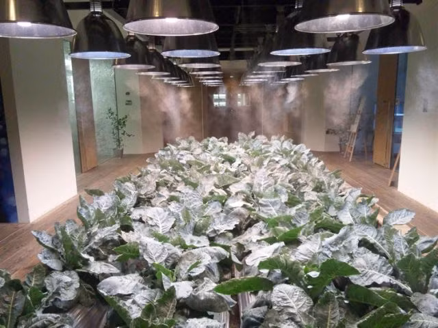 Tổng diện tích các mảng xanh nằm rải rác trong tòa nhà lên đến 4.000 mét vuông.