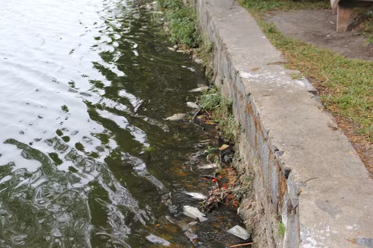 Hon 1 tan ca chet noi trang mat ho o Da Nang-Hinh-6