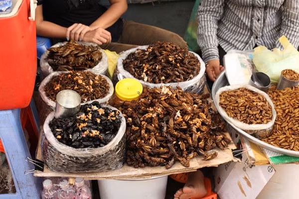 Những món côn trùng bày bán tại khu chợ được chế biến và tẩm gia vị rất thơm khiến cho du khách bị mê hoặc nhưng chắc rằng không phải ai cũng đủ can đảm để ăn thử.