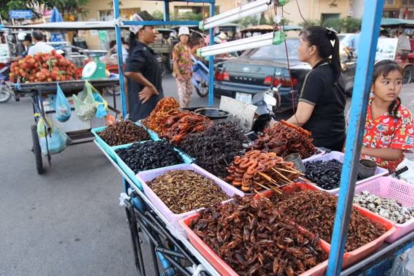 Ngoài món nhện chiên, chợ côn trùng Campuchia còn bán đủ các loại khác như bò cạp, rất, rắn, sâu, bọ cánh cứng, dế, cào cào...
