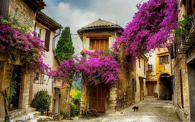 Thị trấn nhỏ ở Provence, Pháp: Provence, vùng đất mộng mơ thuộc miền đông nam nước Pháp, nổi tiếng với nghề sản xuất rượu và những cánh đồng hoa oải hương bát ngát. Khung cảnh mộng mơ của ngôi làng "cổ tích" này khiến nhiều du khách bị cuốn hút.