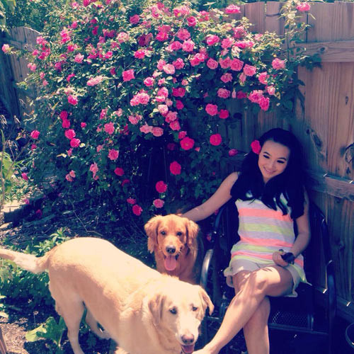 Chị Quỳnh Trần (đang sinh sống ở bờ Đông nước Mỹ) sở hữu vườn rộng 400 m2 luôn cung cấp rau sạch để ăn, hoa đẹp để ngắm quanh năm.