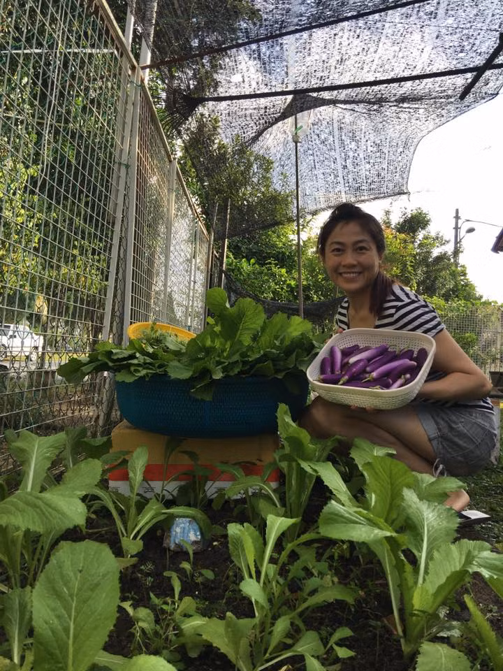 Vườn rau trái khủng của mẹ Việt ở Malaysia: Gia đình chị Huỳnh Diễm Ly sống tại Johor Bahru, Malaysia, sở hữu một vườn rau gồm các loại rau, trái cây nhiệt đới.