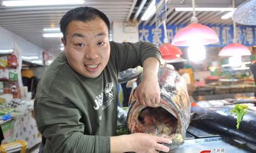 Miệng con cá khổng lồ.