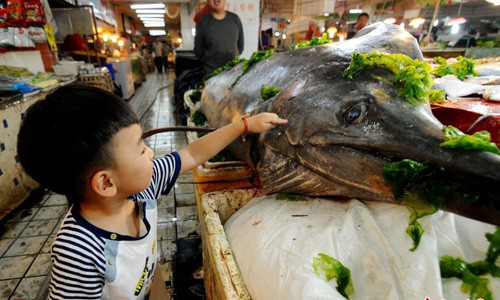 Trước đó, một siêu thị ở Thanh Đảo, Trung Quốc từng thu hút đông đảo du khách với cá kiếm khổng lồ dài 3,06 mét và nặng 206 kg.
