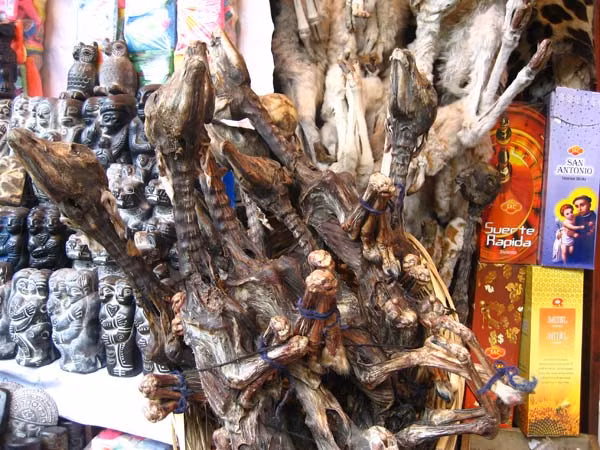 Chợ phù thủy (La Paz, Bolivia): Đây là một trong những chợ đường phố lạ lùng nhất Nam Mỹ. Nằm ở thủ đô cao nhất thế giới - La Paz (3.400 m so với mực nước biển), khu chợ này có hàng loạt cửa hàng nơi các phù thủy, thầy lang, nhà chiêm tinh, thầy bói, pháp sư... sống và hành nghề.