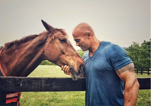 Nam diễn viên này cũng sở hữu một trang trại ở Charlottesville, Virginia (Mỹ).