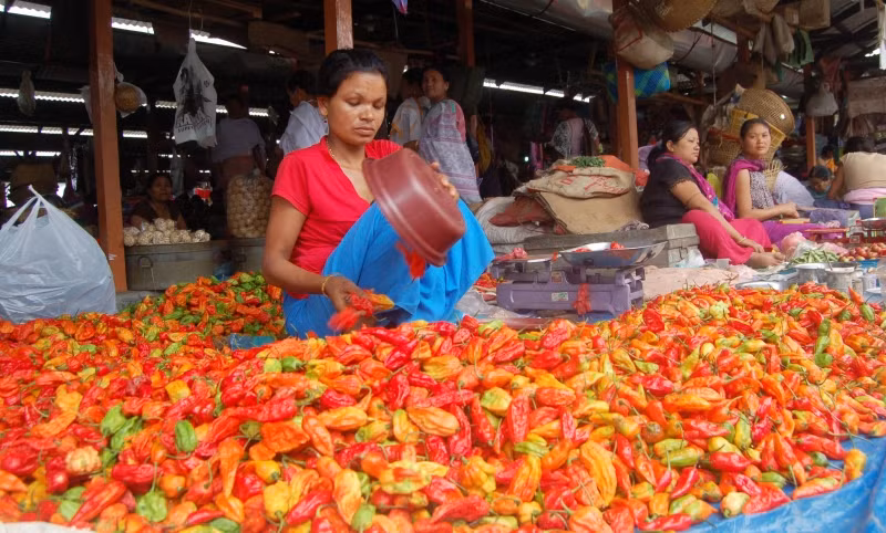 Một số người sở hữu quầy hàng cá nhân, những người khác lại bán trong những quầy hàng có phần vốn của nhà nước.
