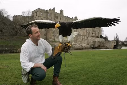 Thời gian huấn luyện một con chim đại bàng nhanh hay lâu tuỳ thuộc rất nhiều vào người huấn luyện.