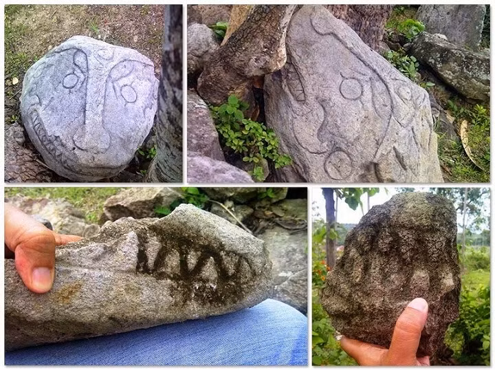 Không khó để các nhà khảo cổ, các nhà nghiên cứu cùng du khách có thể tìm được các phiến đá có chạm khắc những hình những con vật thiêng ở Gunung Padang.