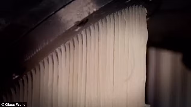 Cụ thể, gelatin là một chất tạo độ dai, độ dày cho kẹo bởi vậy nó là một thành phần rất quan trọng trong công thức tạo ra thạch, kẹo chip chip, kẹo mềm, kẹp bông, sữa chua, kem...