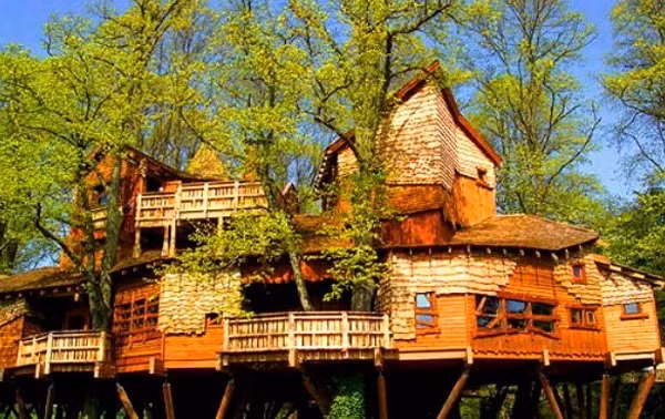 Alnwick Garden là ngôi nhà bằng gỗ trên cây đắt nhất thế giới, trị giá 4 - 6 triệu USD. Ngôi nhà được cặp vợ chồng người Scotland Duke và Duchess dùng để cho thuê.