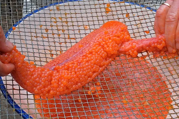 Trứng cá được đặt lên trên một miếng lướt sắt để tách từng quả rời ra.