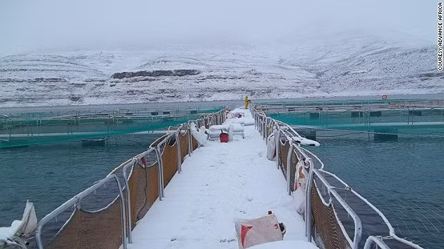 Tan muc trang trai noi tieng nuoi ca hoi lay trung