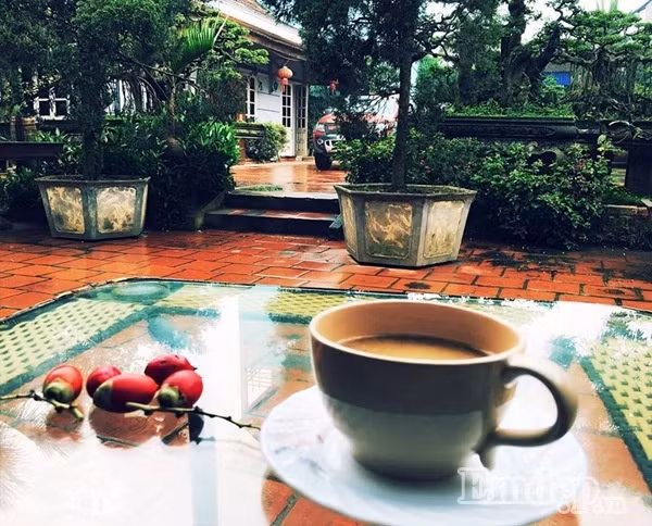 Chị cũng thường ăn sáng và thưởng trà, uống cà phê ngắm cây cảnh quanh nhà.