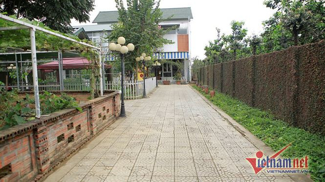 Lối vào bên trong ngập tràn cây xanh