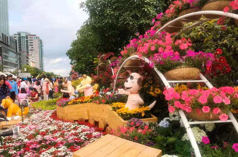 Hàng nghìn lọai hoa được đưa về từ khắp miền đất nước để trang điểm trên phố đi bộ Nguyễn Huệ.