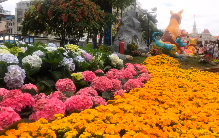 Theo ghi nhận của PV Kiến Thức, chiều mùng 3 Tết, dù chỉ còn hơn 1 ngày nữa là kết thúc, tuy nhiên hàng nghìn loại hoa vẫn khoe sắc rực rỡ trên phố đi bộ Nguyễn Huệ.