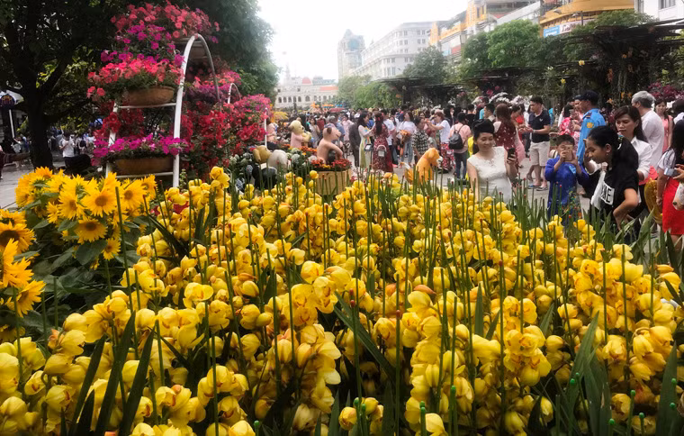 Cả một góc đường hoa rực rỡ trong sự trầm trồ của du khách trong và ngoài nước.