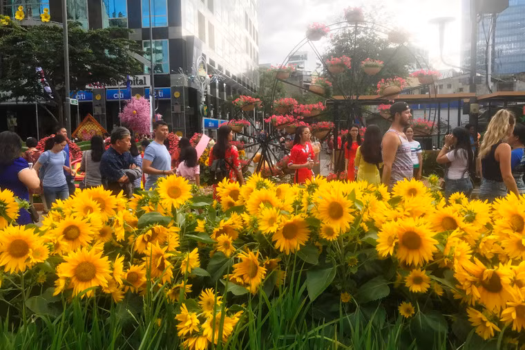 Càng về chiều tối, đường hoa Nguyễn Huệ du khách từ khắp nơi càng đổ về đường hoa đông đúc.