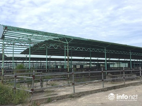 Khung cảnh tiêu điều, vắng ngắt tại trại bò từng được đầu tư hơn 5.000 tỉ đồng.