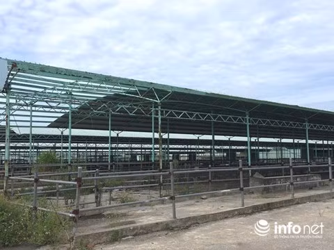 Khung cảnh tiêu điều, vắng ngắt tại trại bò từng được đầu tư hơn 5.000 tỉ đồng.