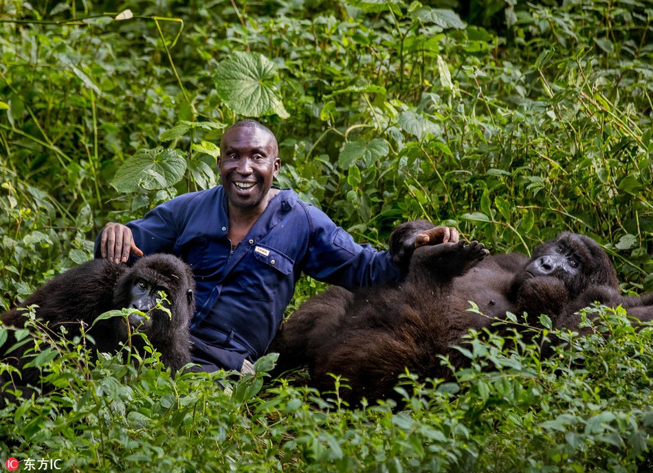 Trái ngược với vẻ ngoài khổng lồ và nguy hiểm, chúng tỏ ra rất tình cảm với những nhân viên ở đây, đặc biệt là với Andre, người mà chúng coi như người thân trong gia đình.