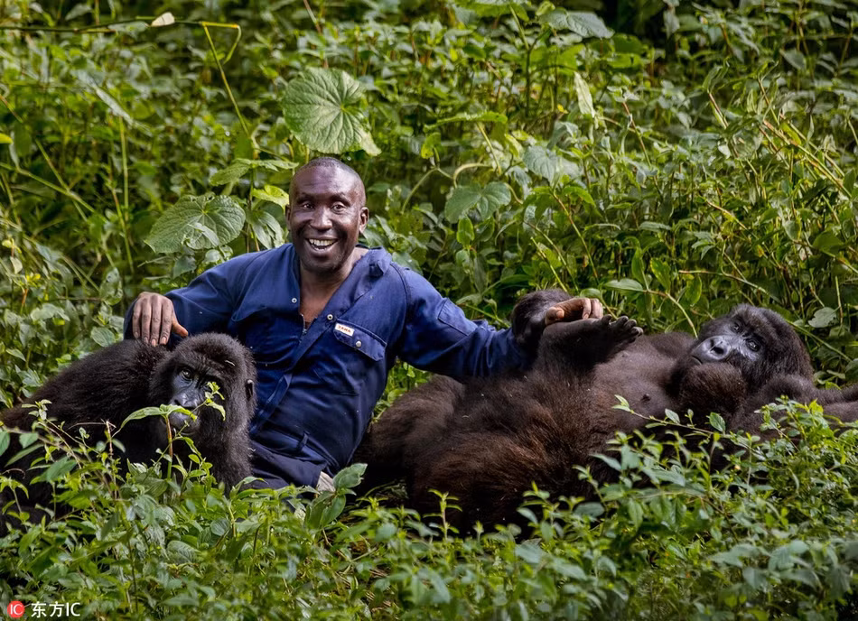 Trái ngược với vẻ ngoài khổng lồ và nguy hiểm, chúng tỏ ra rất tình cảm với những nhân viên ở đây, đặc biệt là với Andre, người mà chúng coi như người thân trong gia đình.