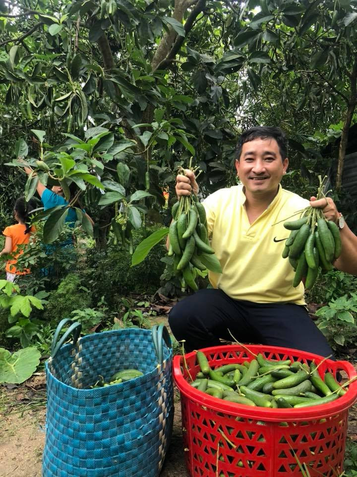 Loại bơ tí hon không hạt này đang được người tiêu dùng tranh nhau mua vì hiếu kỳ