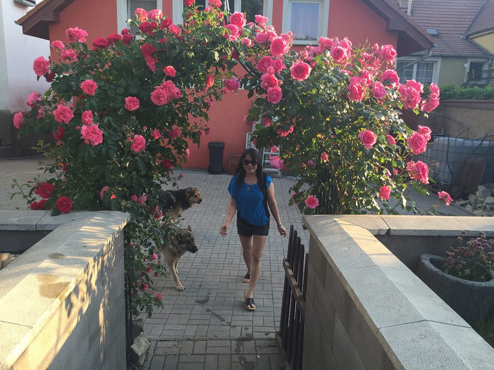 Khu vườn tràn ngập hoa là niềm ngưỡng mộ của bất cứ ai đến thăm nhà chị.