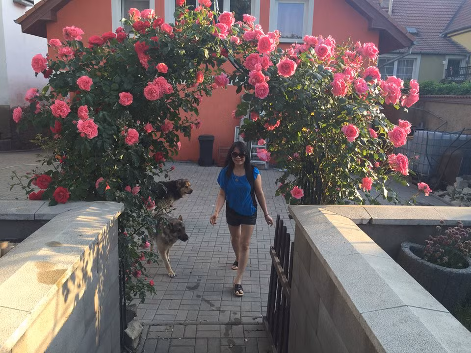 Khu vườn tràn ngập hoa là niềm ngưỡng mộ của bất cứ ai đến thăm nhà chị.